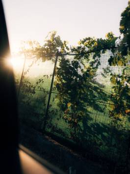 Ligurien Italien Reportage Travel Photography Fotografie by Amelie Niederbuchner München Fotograf 