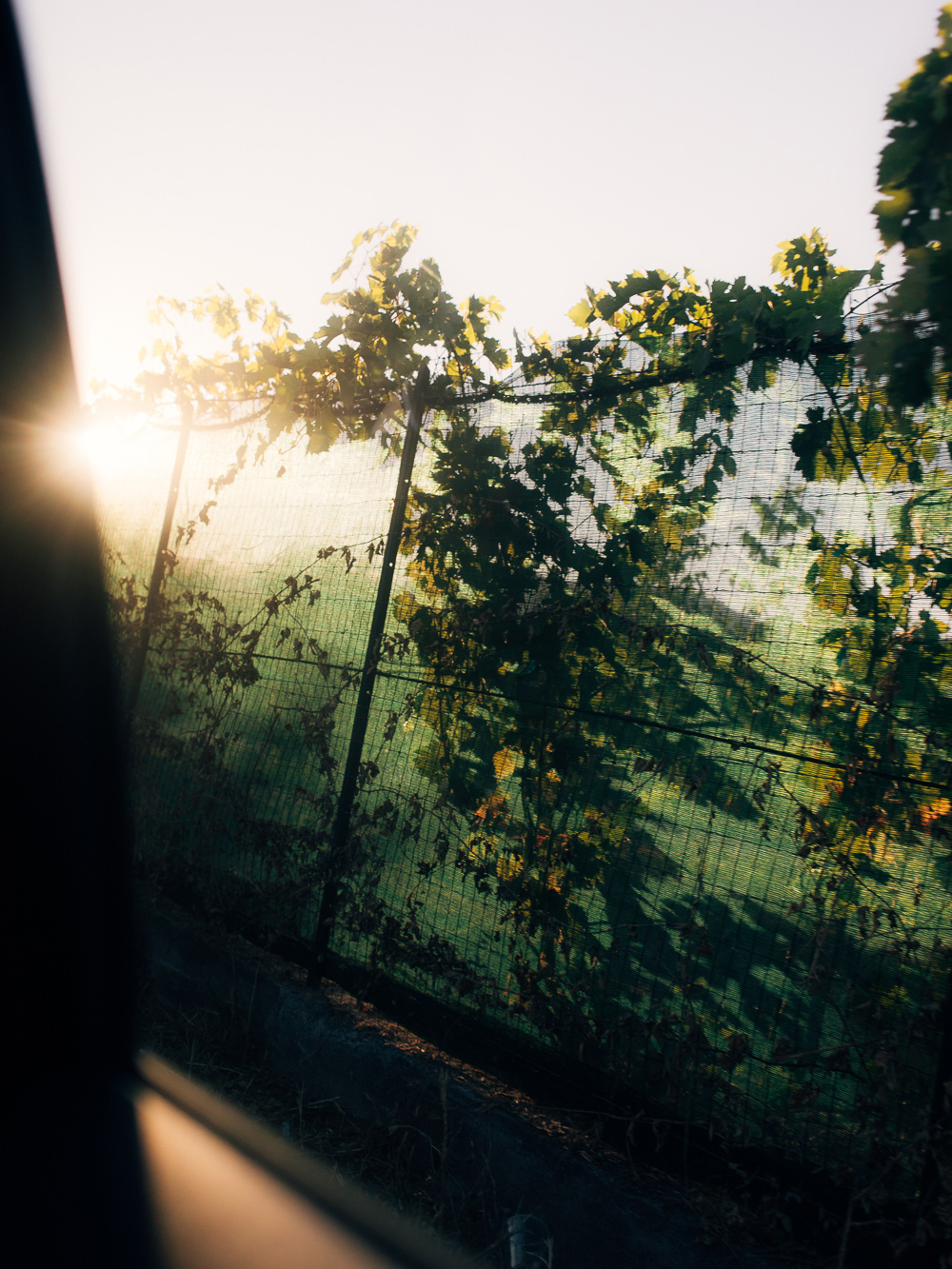 Ligurien Italien Reportage Travel Photography Fotografie by Amelie Niederbuchner München Fotograf 