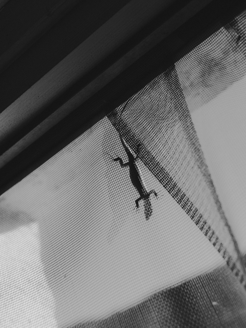 Ligurien Italien Reportage Travel Photography Fotografie by Amelie Niederbuchner München Fotograf 