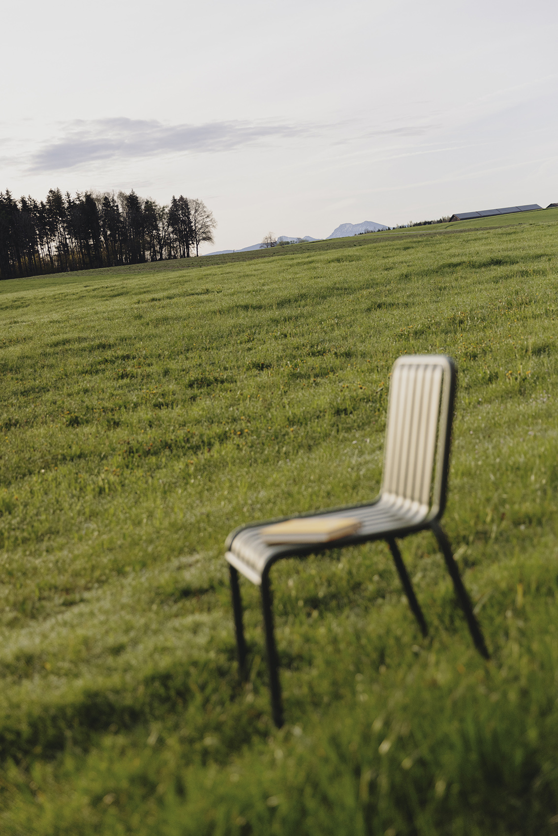 Amelie Niederbuchner