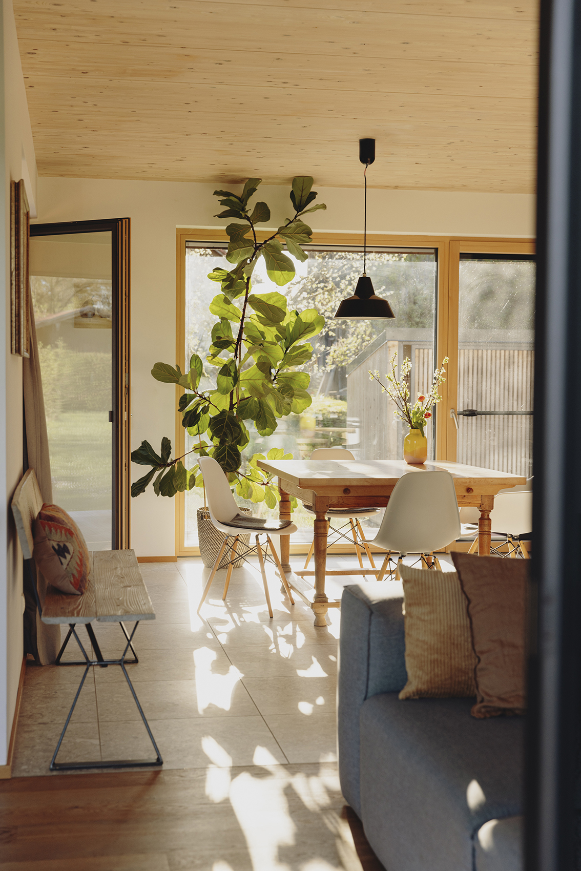 Amelie Niederbuchner