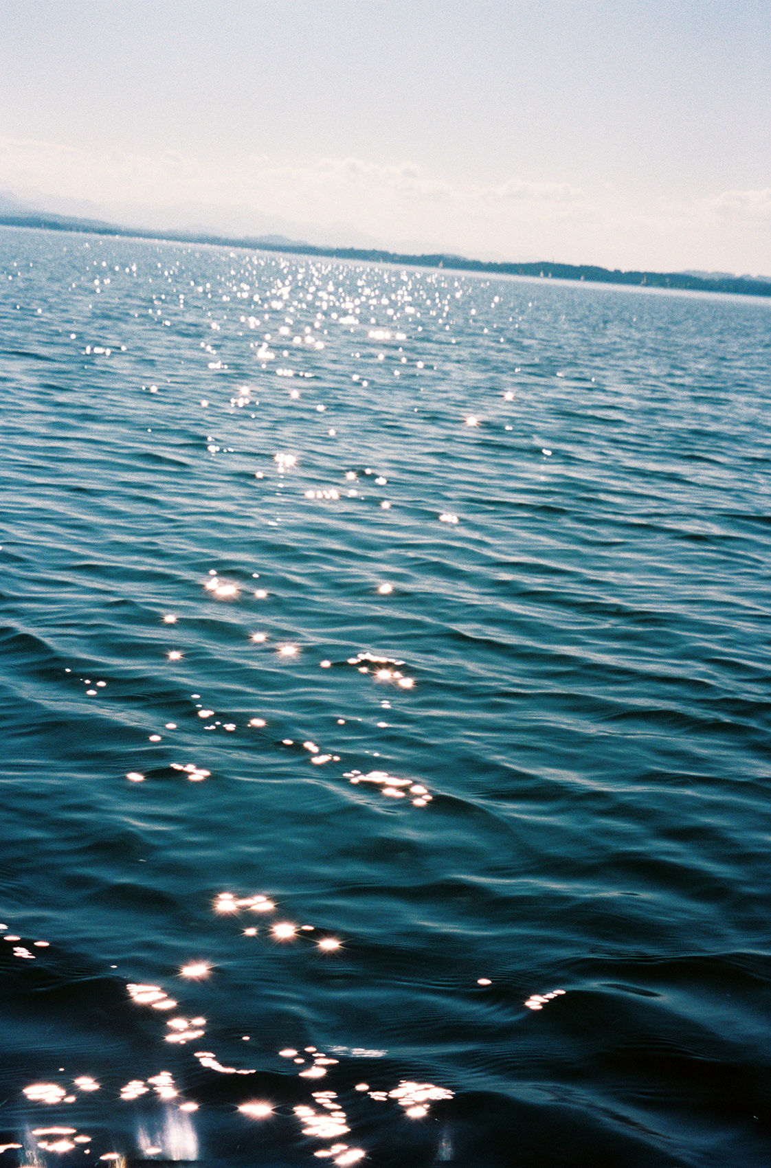 Amelie Niederbuchner