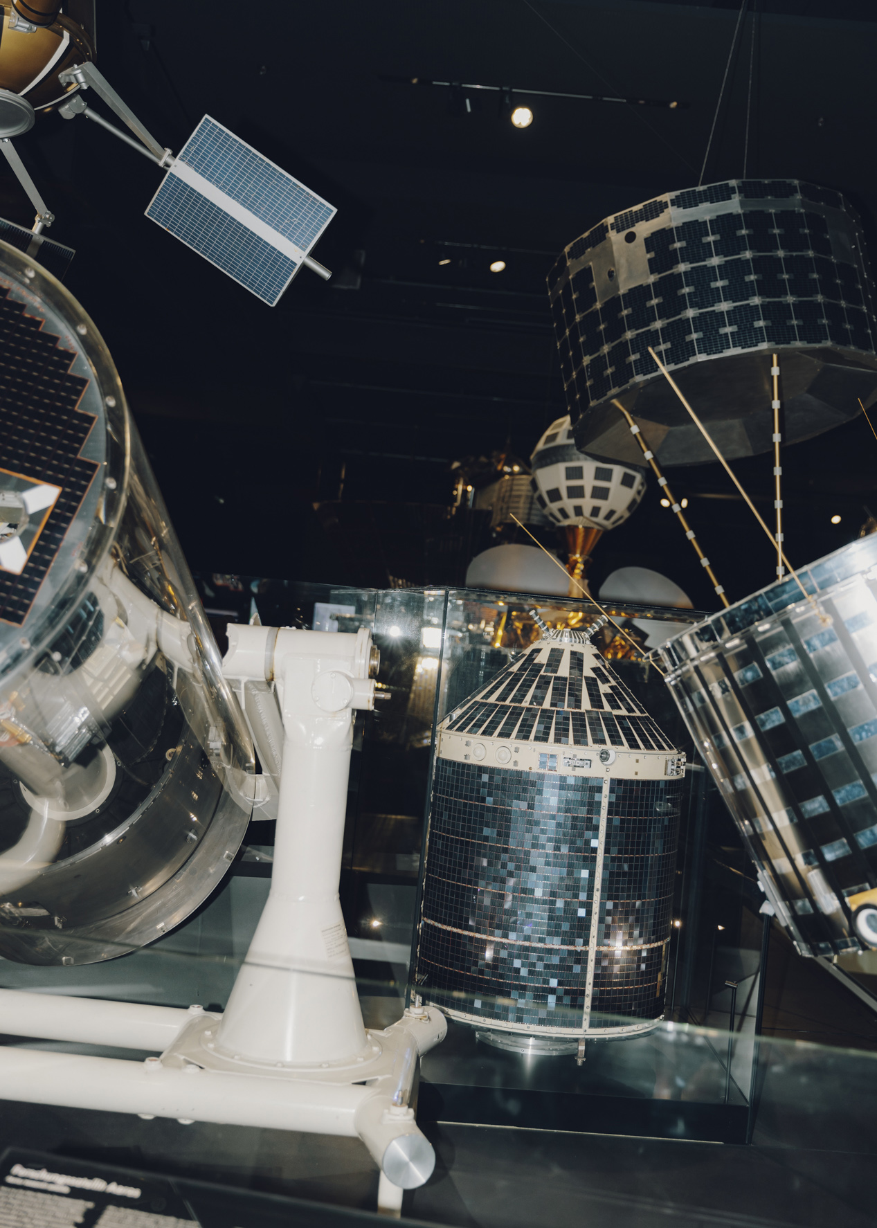 Amelie Niederbuchner