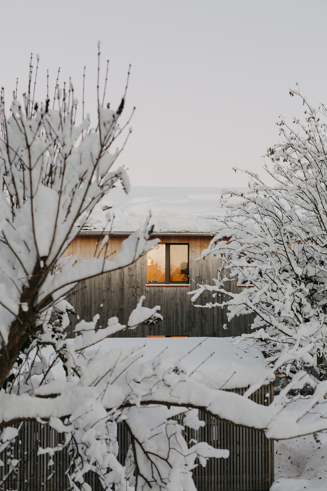 Amelie Niederbuchner