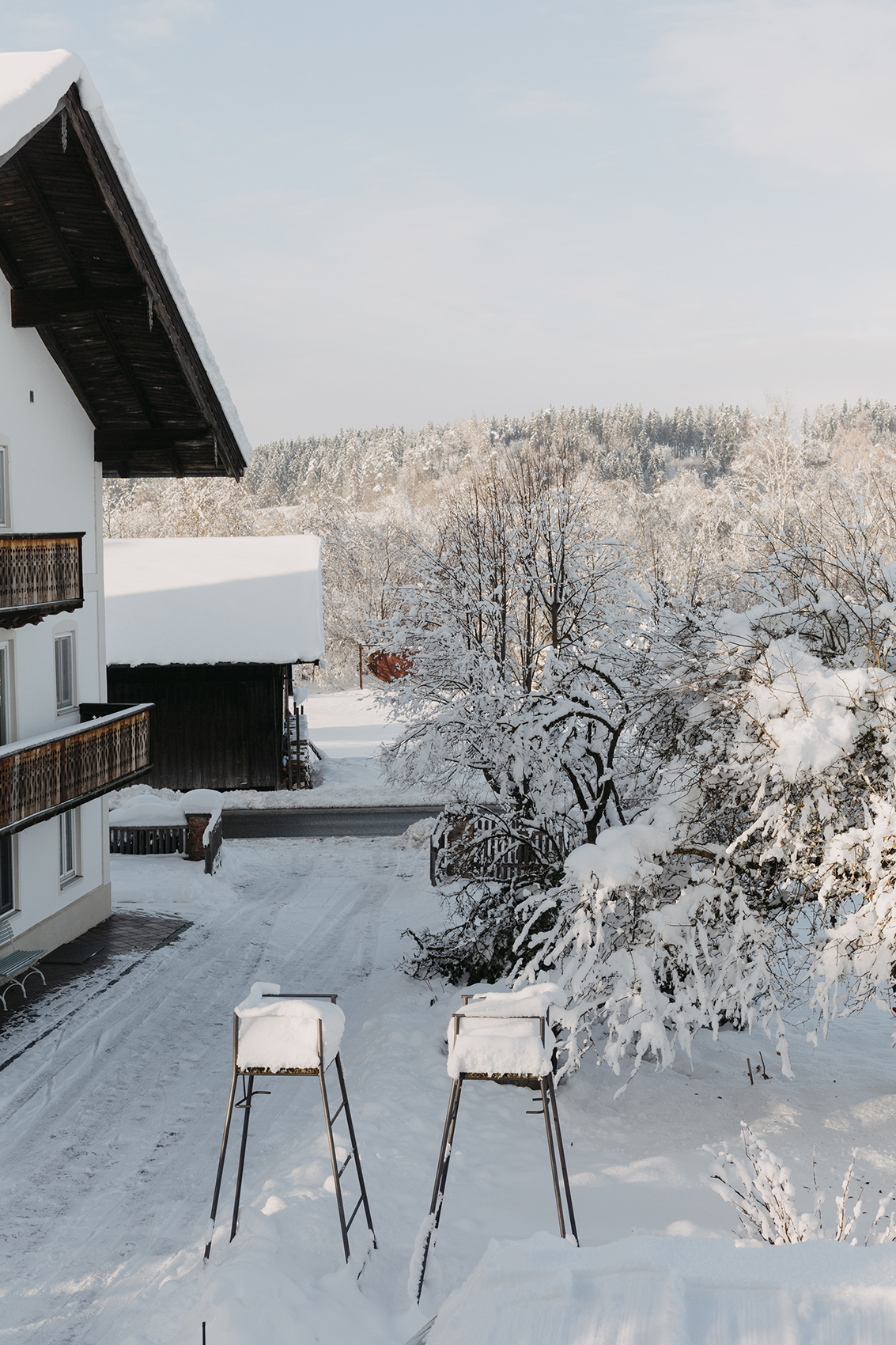 Amelie Niederbuchner