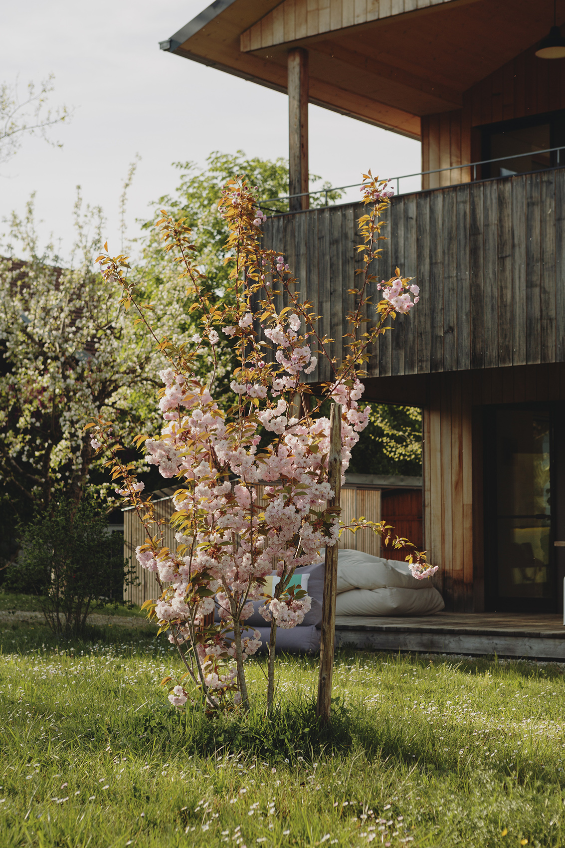 Amelie Niederbuchner