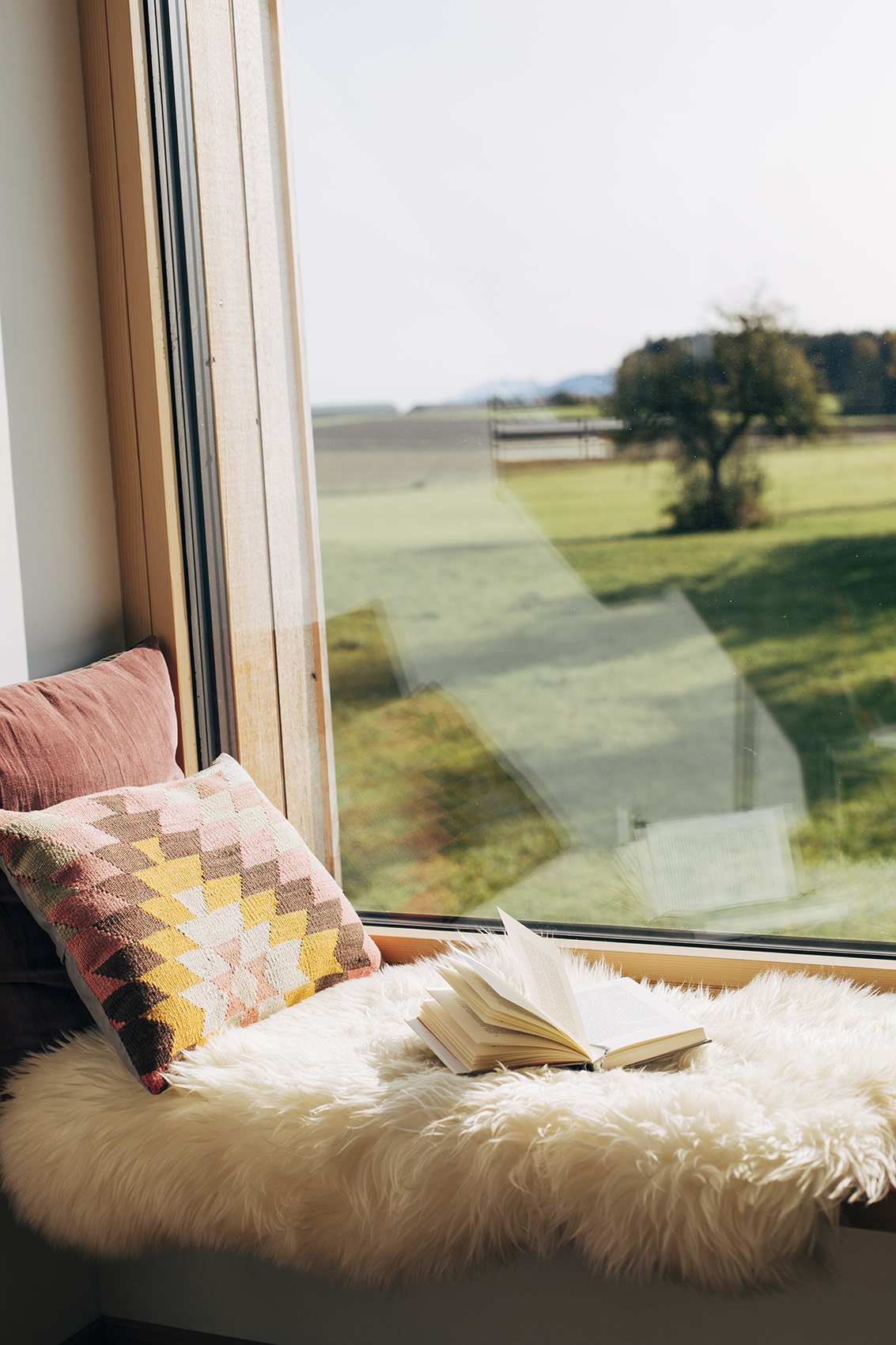 Amelie Niederbuchner