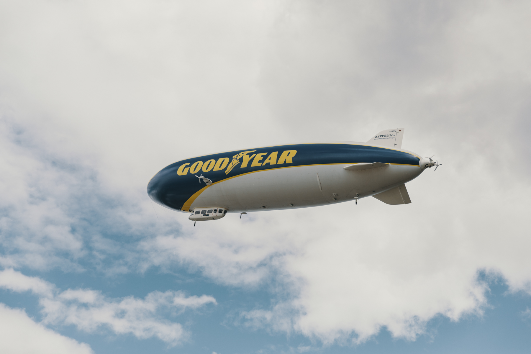 Amelie Niederbuchner