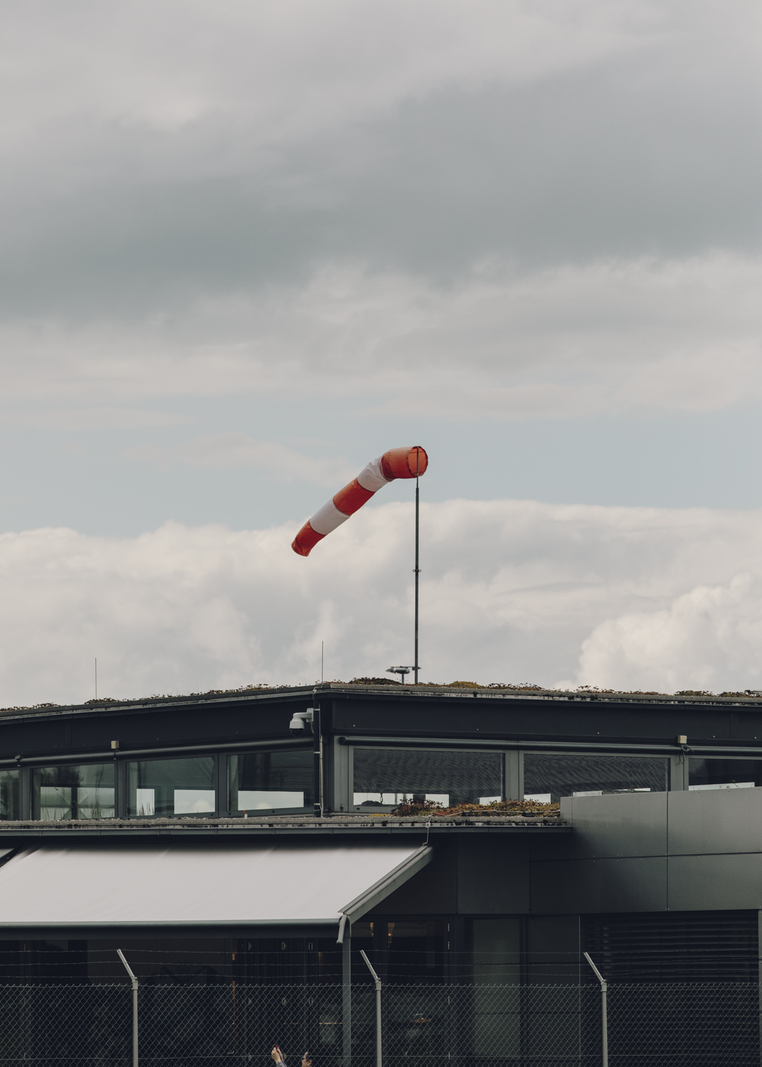 Amelie Niederbuchner