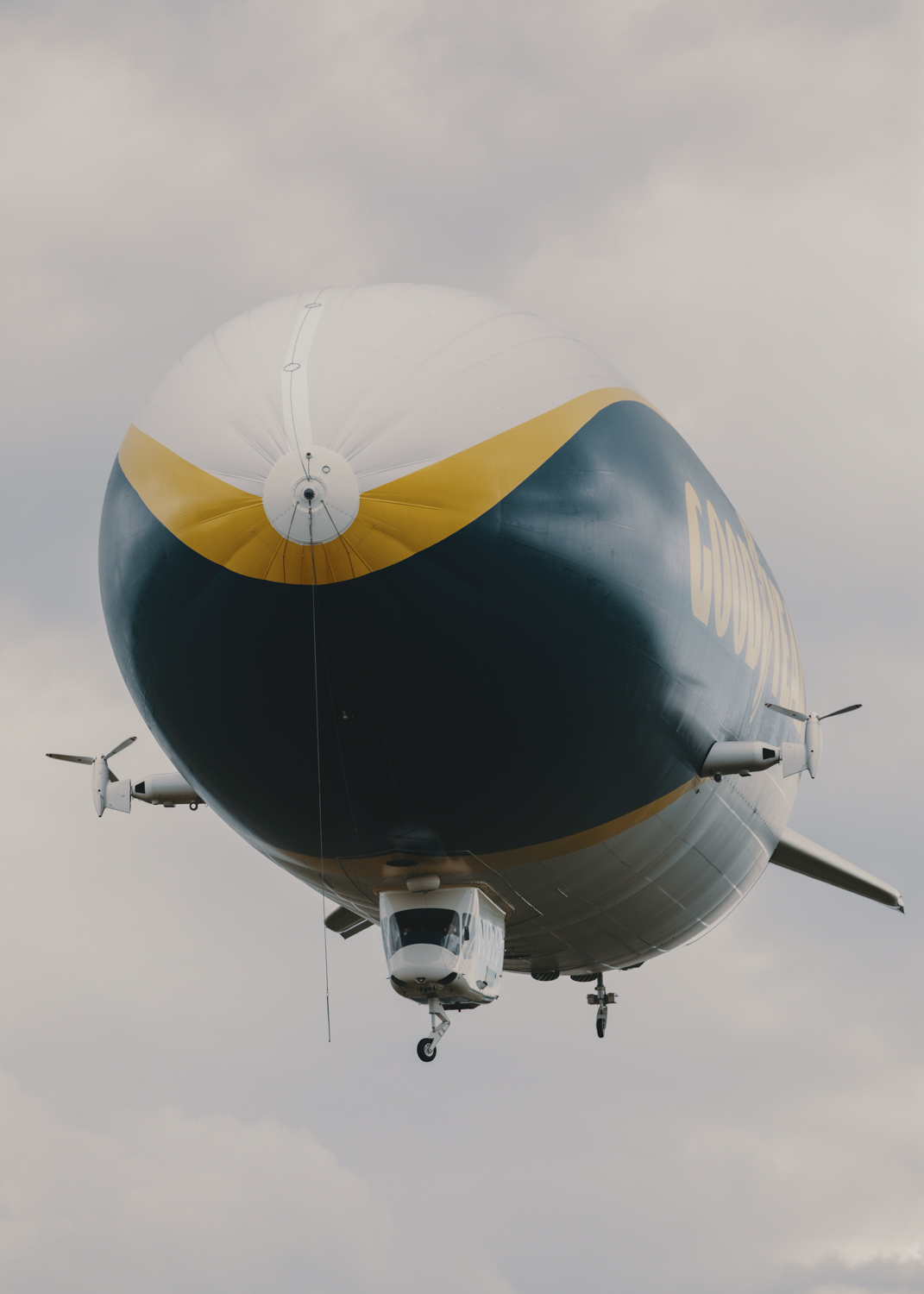 Amelie Niederbuchner