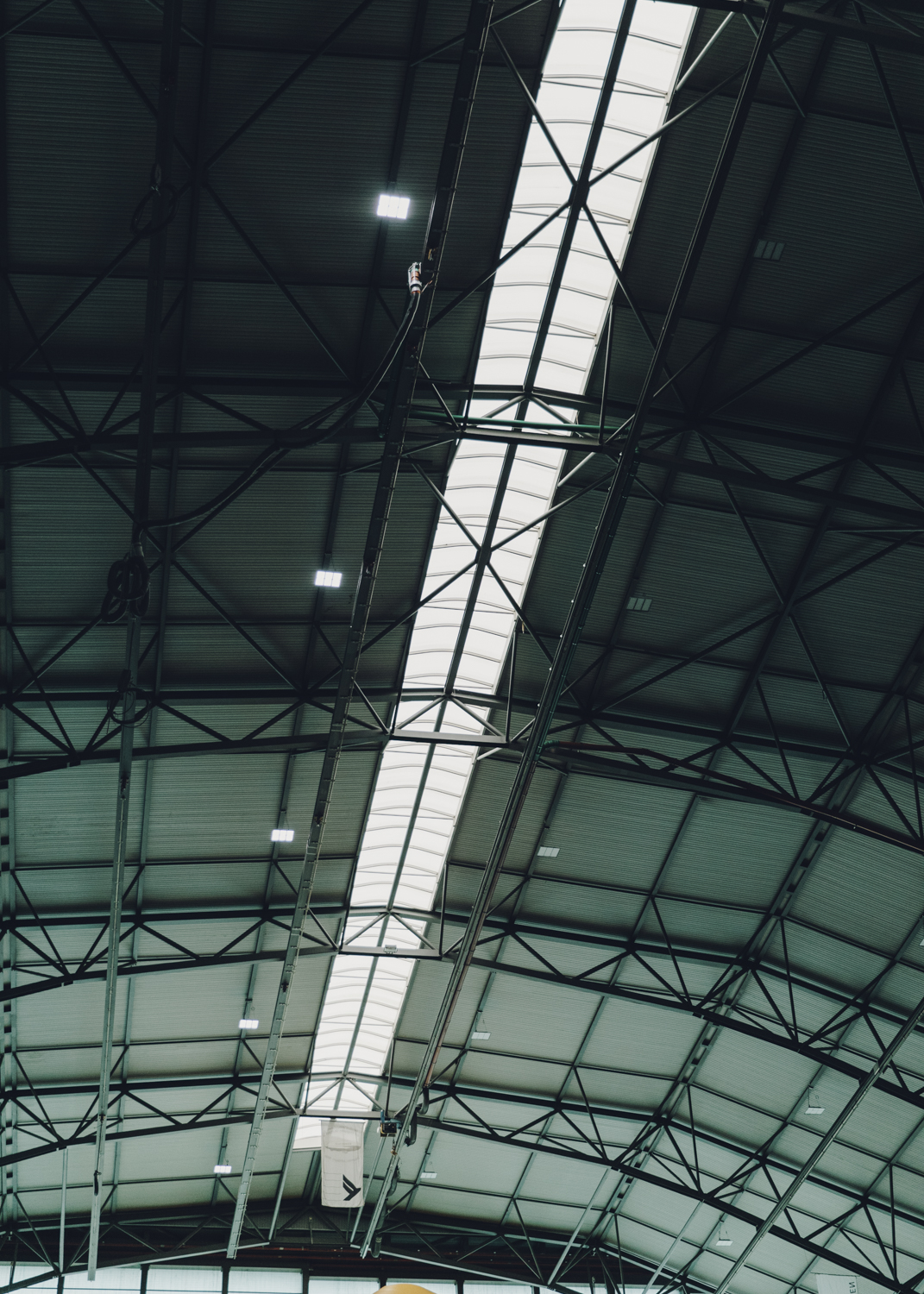 Amelie Niederbuchner