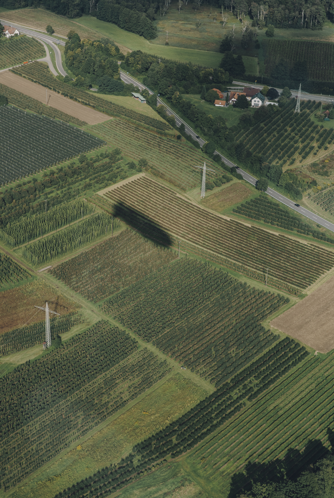 Amelie Niederbuchner