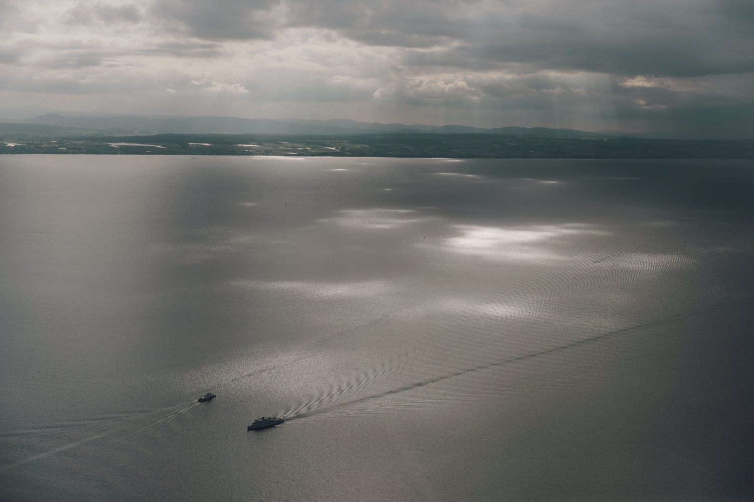 Amelie Niederbuchner