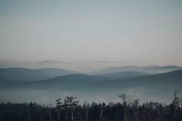 Bayerischer Wald 
