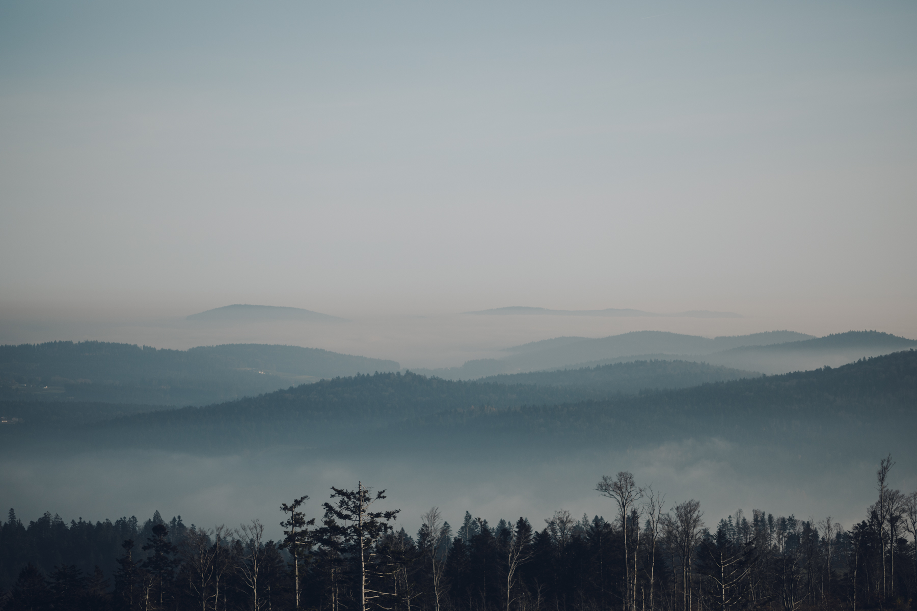 Bayerischer Wald