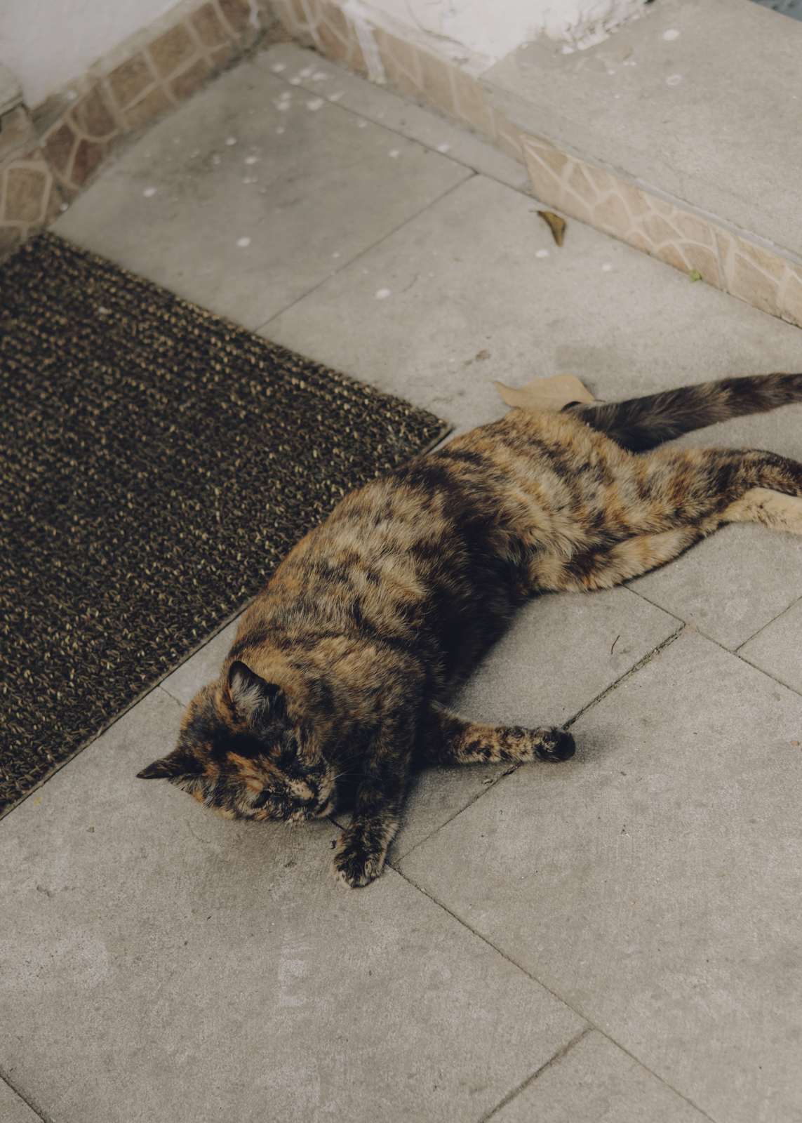 Istanbul Travel Diary, fotografiert von Amelie Niederbuchner 