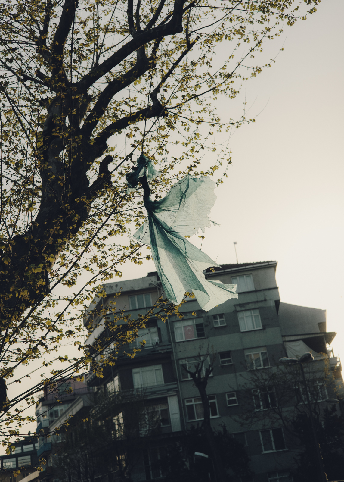 Istanbul Travel Diary, fotografiert von Amelie Niederbuchner 