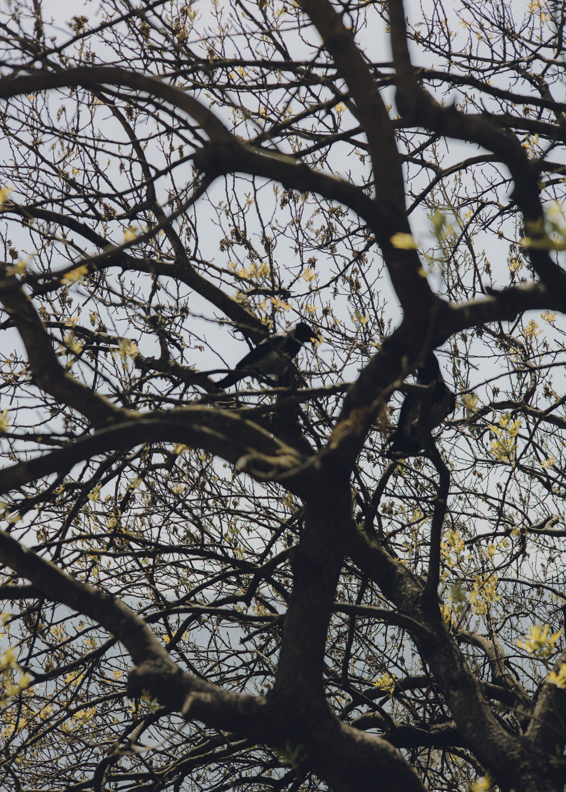 Istanbul Travel Diary, fotografiert von Amelie Niederbuchner 