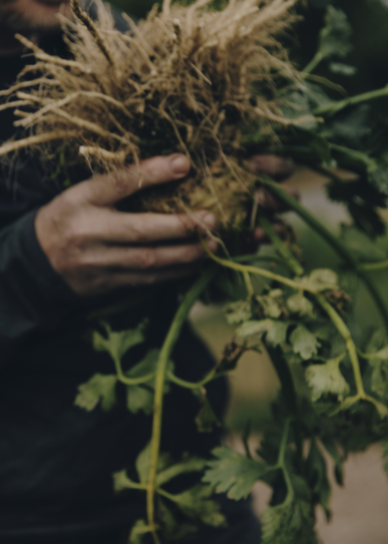 Restaurant Essigbrätlein Detail 