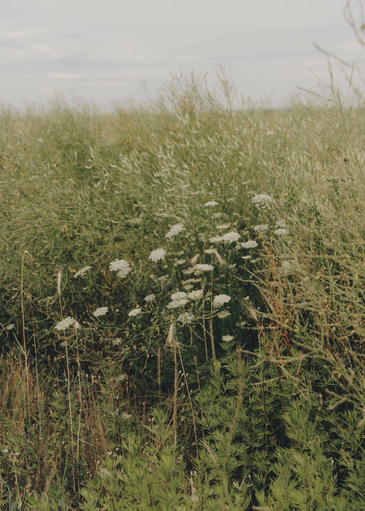 Restaurant Essigbrätlein Detail 