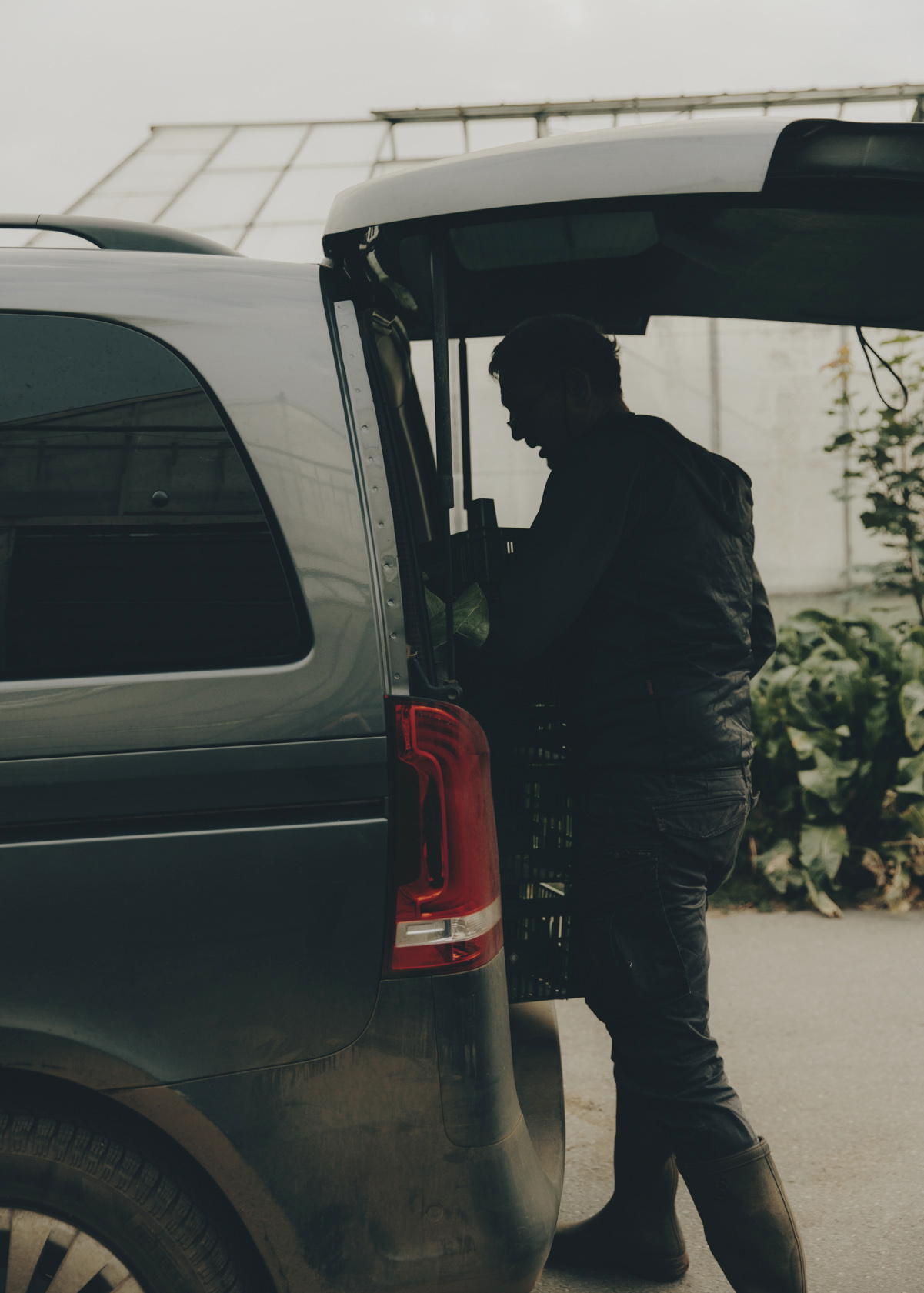 Restaurant Essigbraetlein Andree Koethe Portrait 