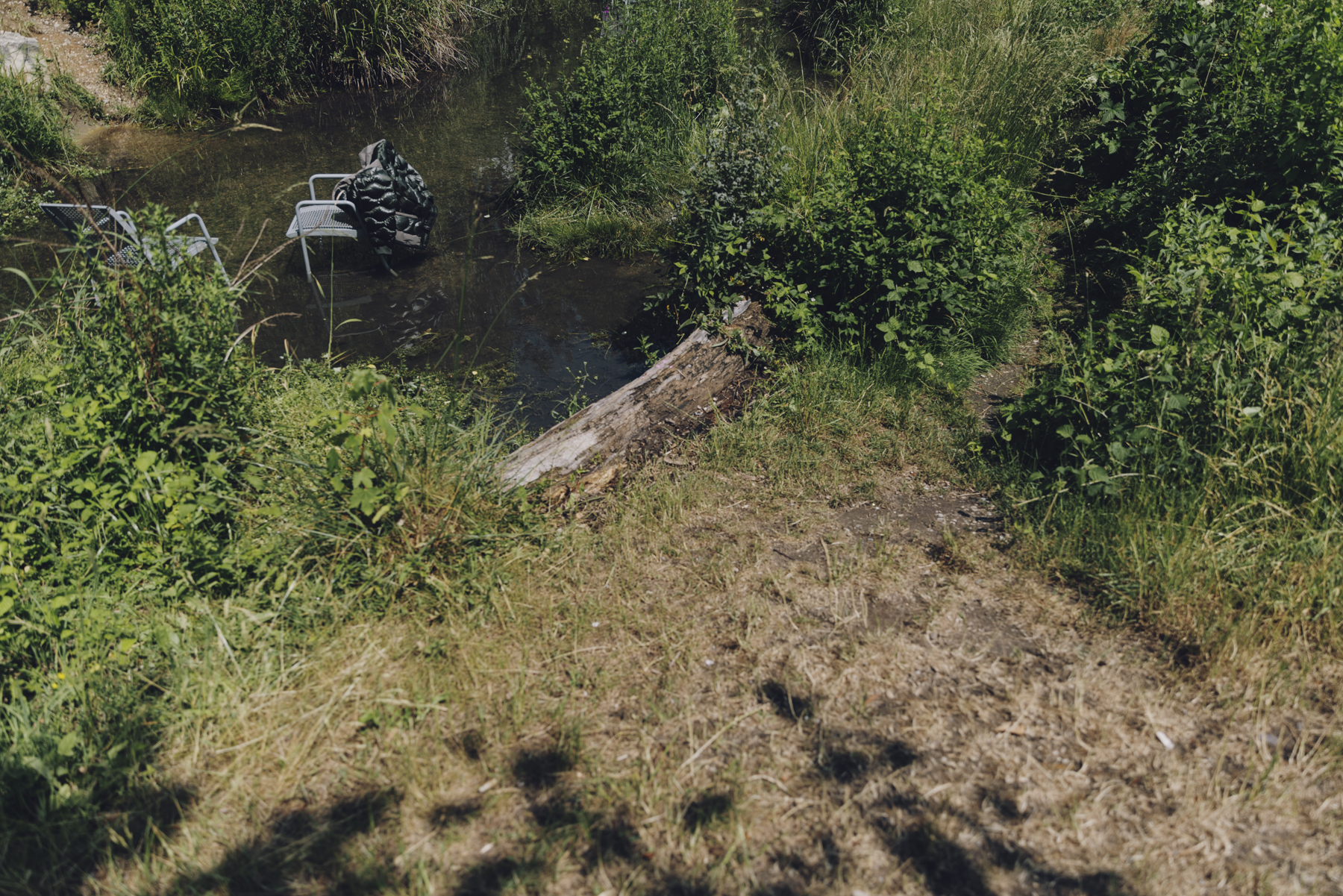 Amelie Niederbuchner