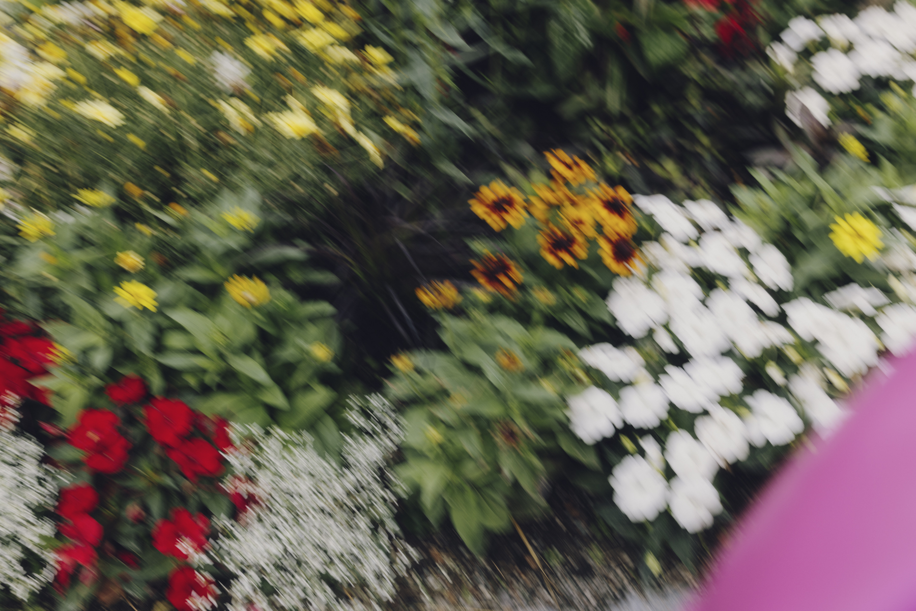 Amelie Niederbuchner