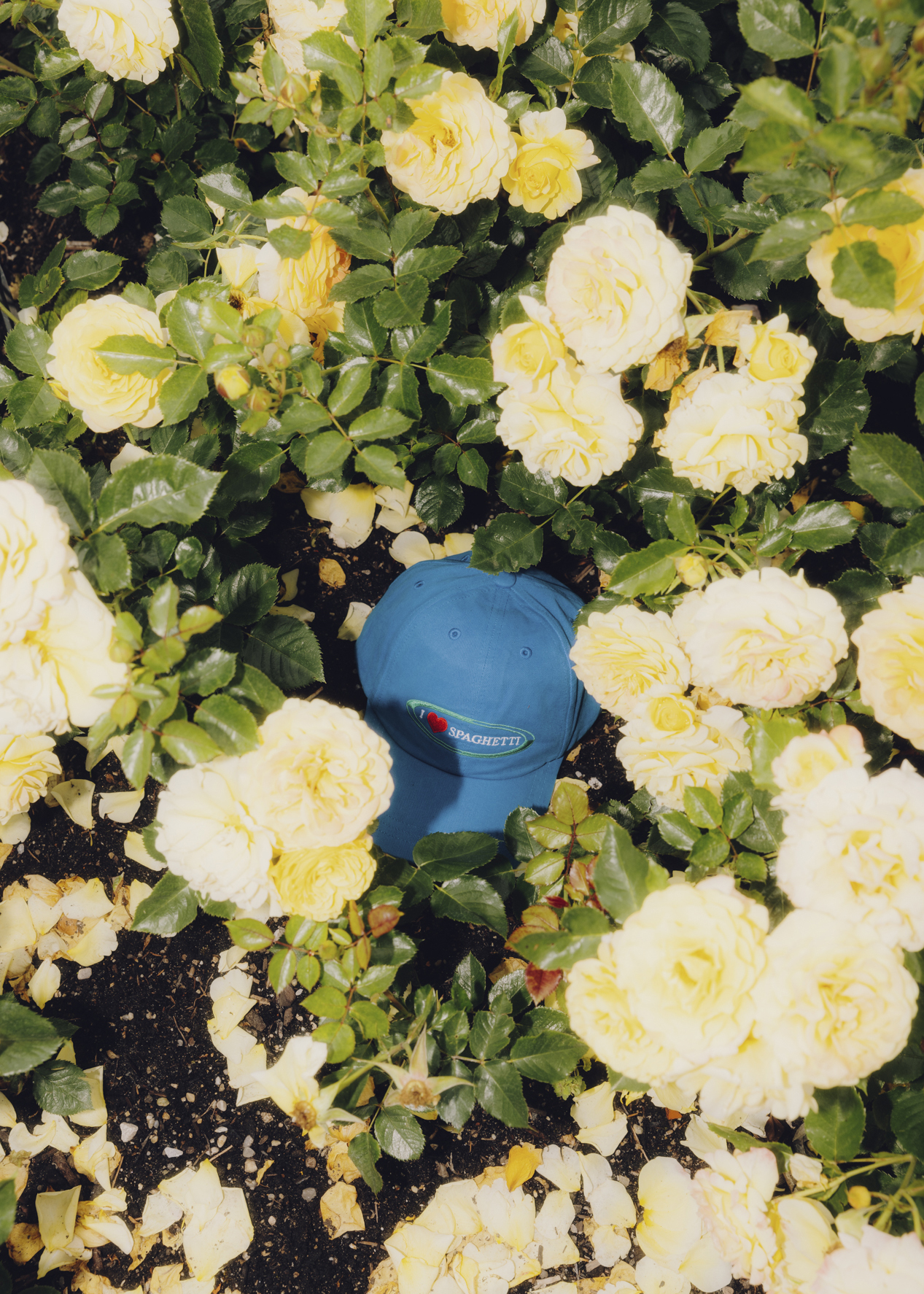 Amelie Niederbuchner