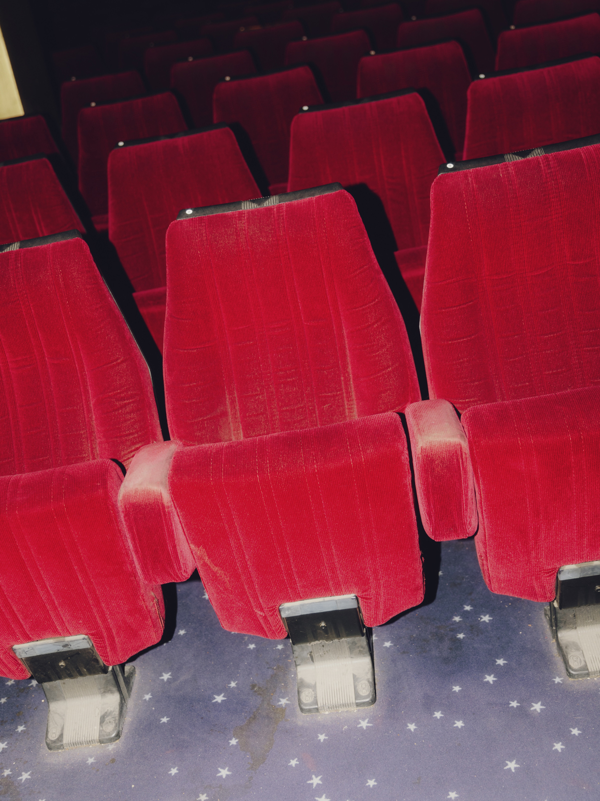 Amelie Niederbuchner