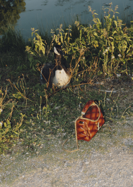 Amelie Niederbuchner