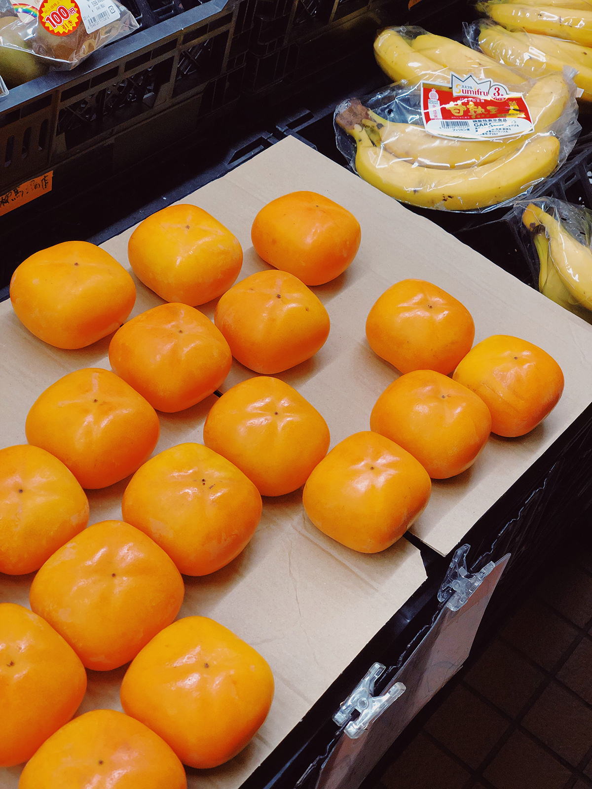 Amelie Niederbuchner