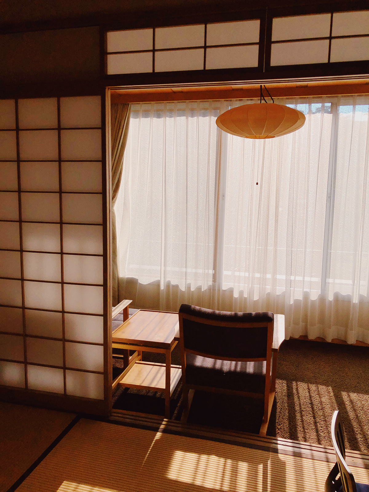 Amelie Niederbuchner