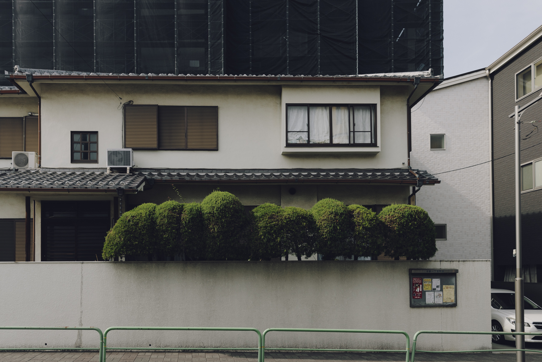 Amelie Niederbuchner