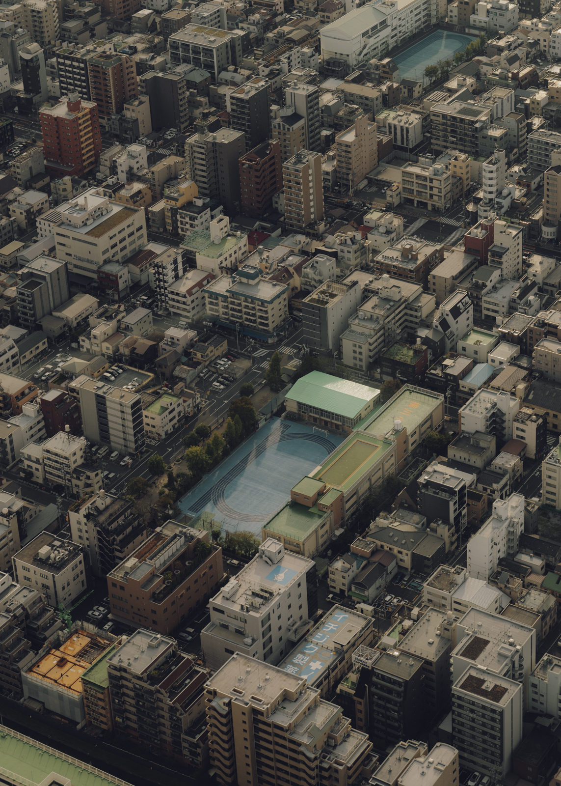 Amelie Niederbuchner