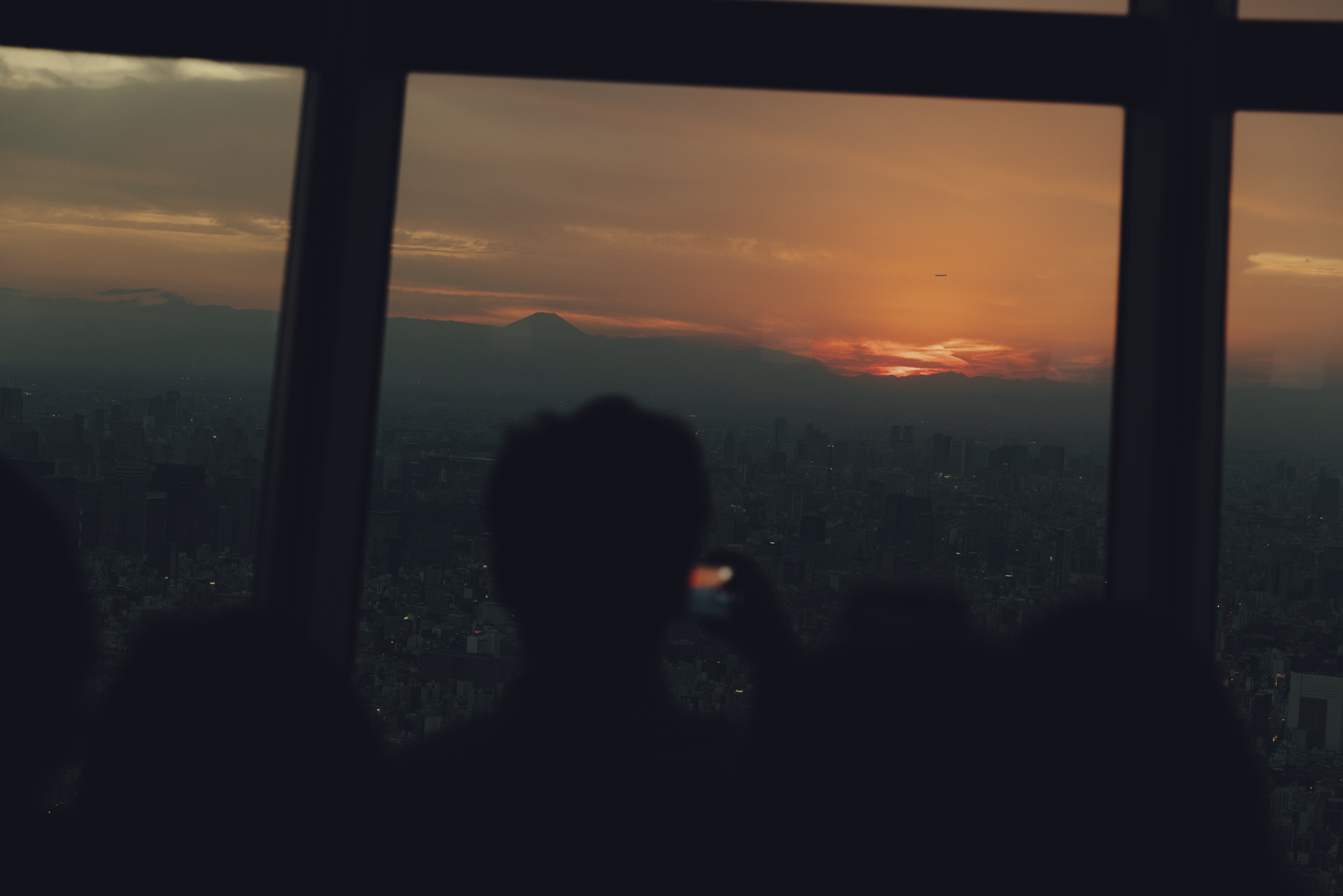 Amelie Niederbuchner