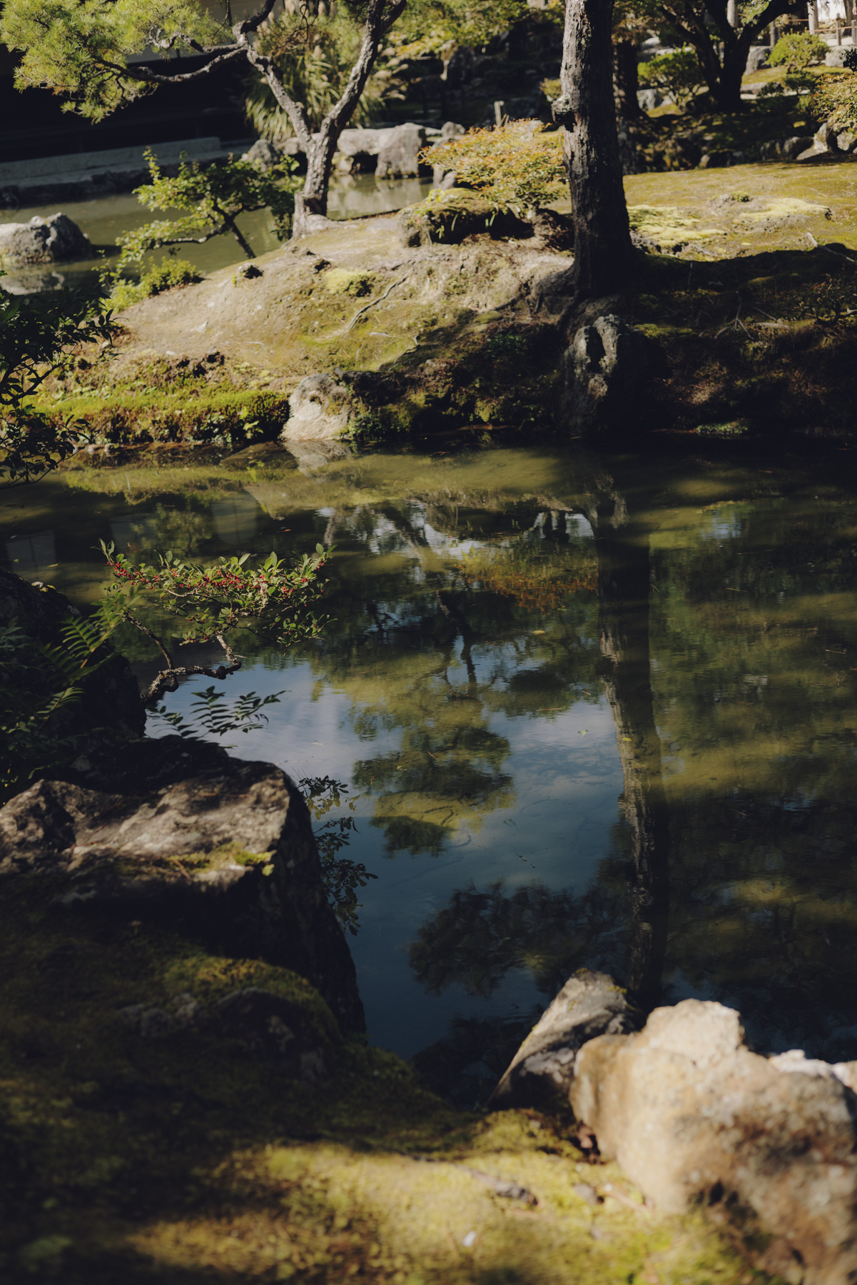 Amelie Niederbuchner