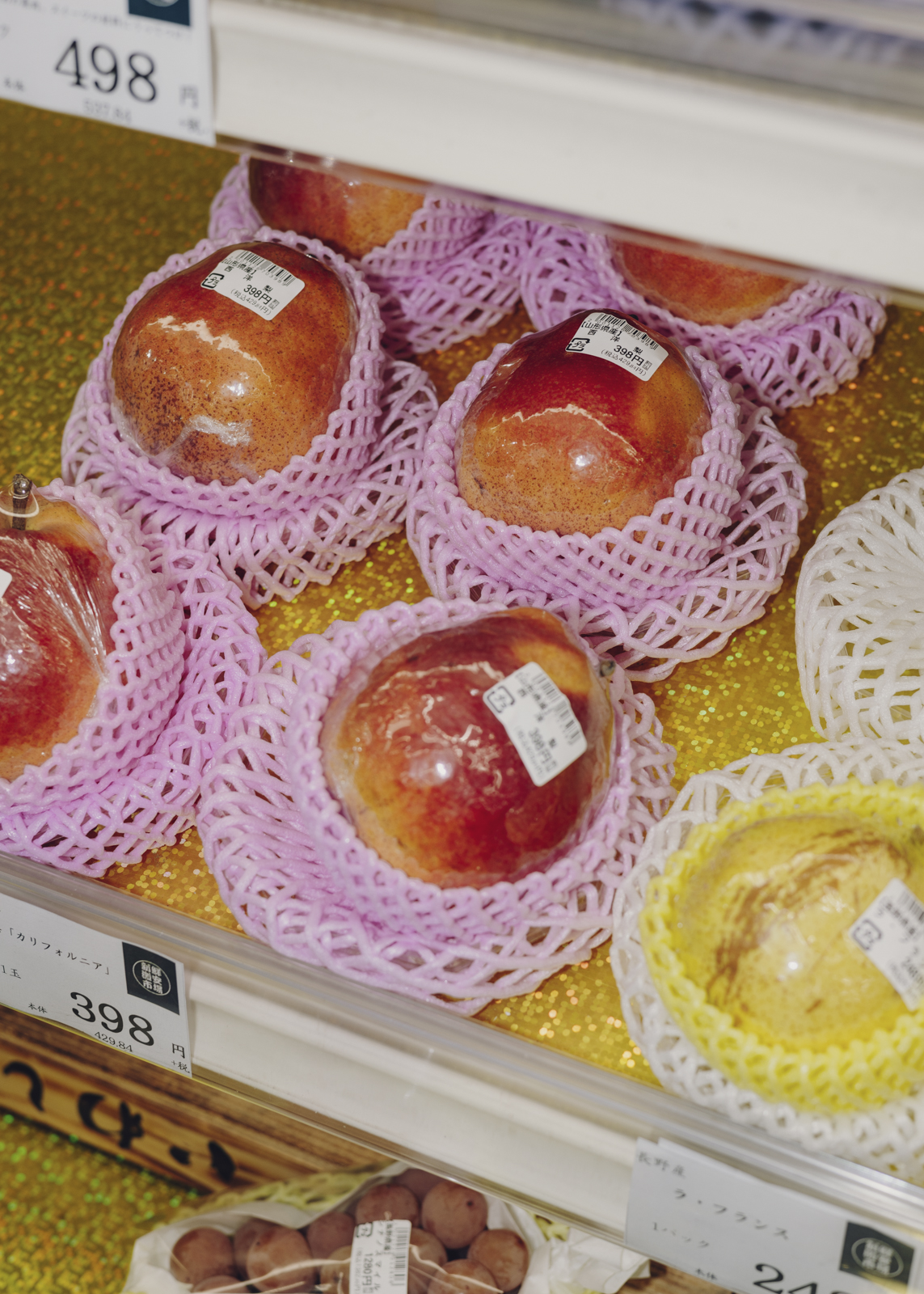 Amelie Niederbuchner