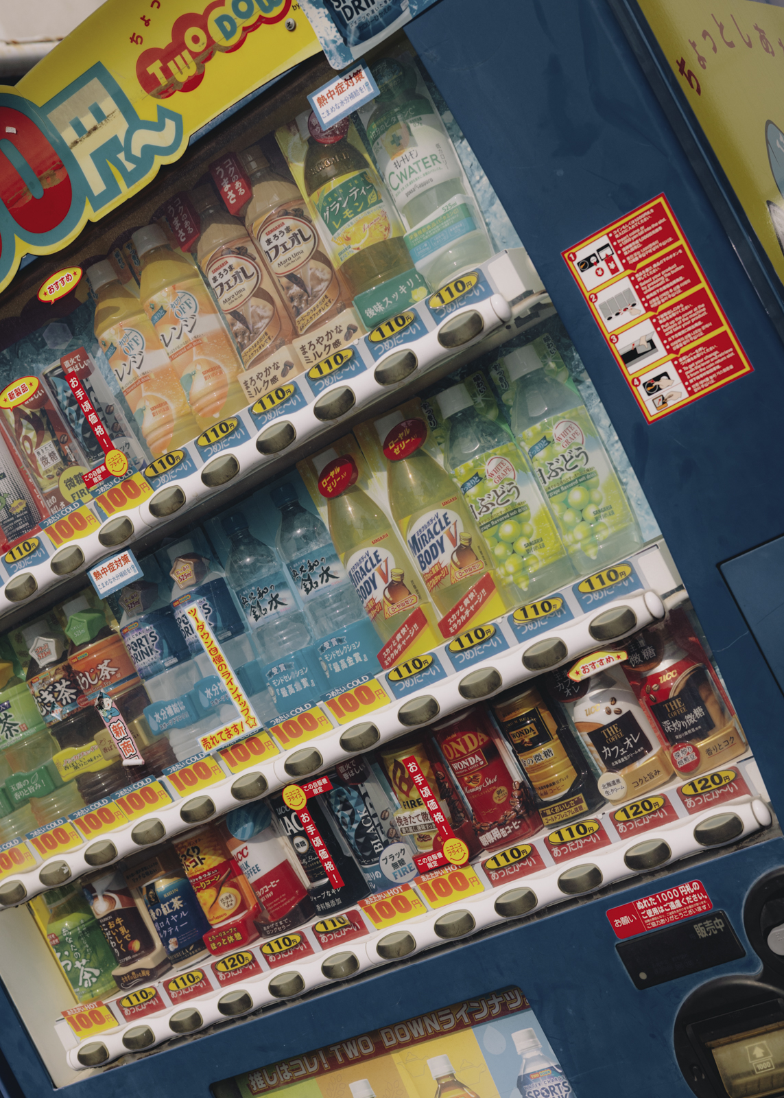 Amelie Niederbuchner