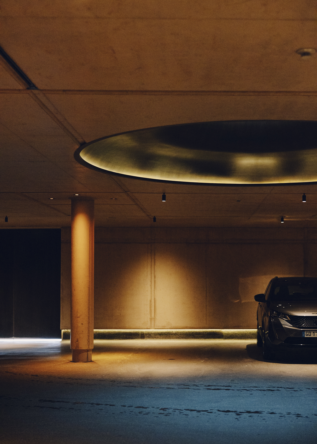 Amelie Niederbuchner