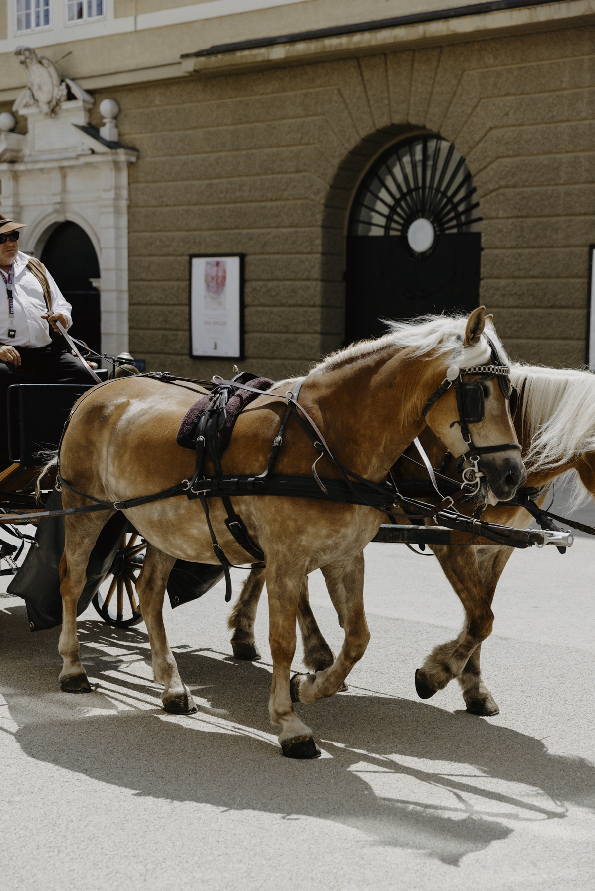 Amelie Niederbuchner