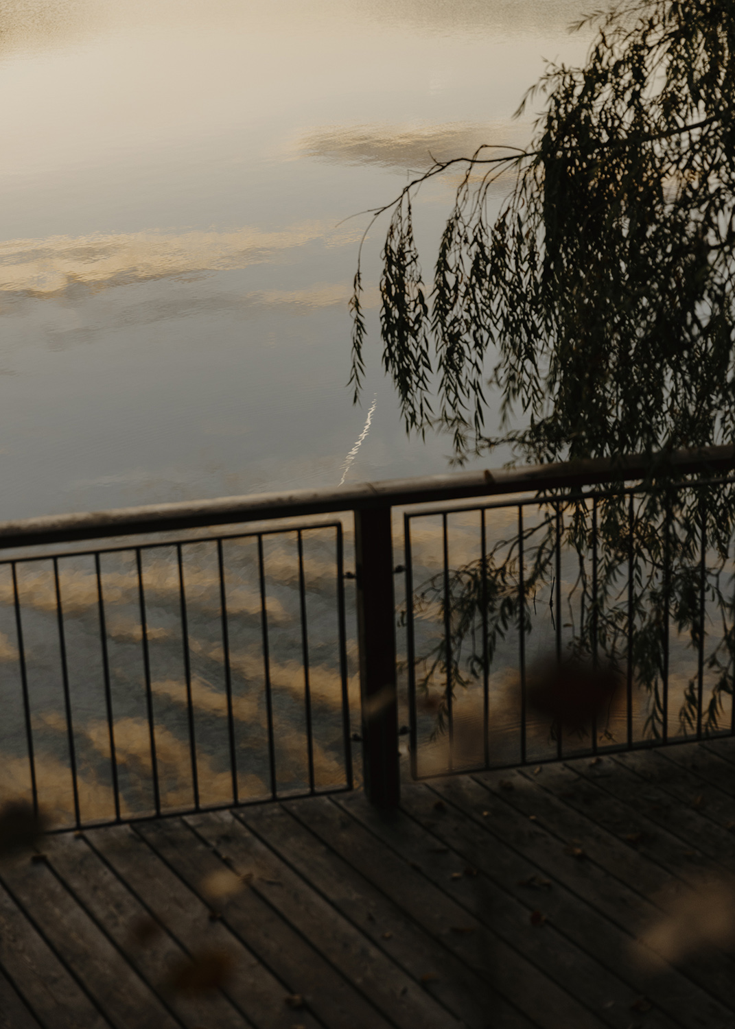 Amelie Niederbuchner