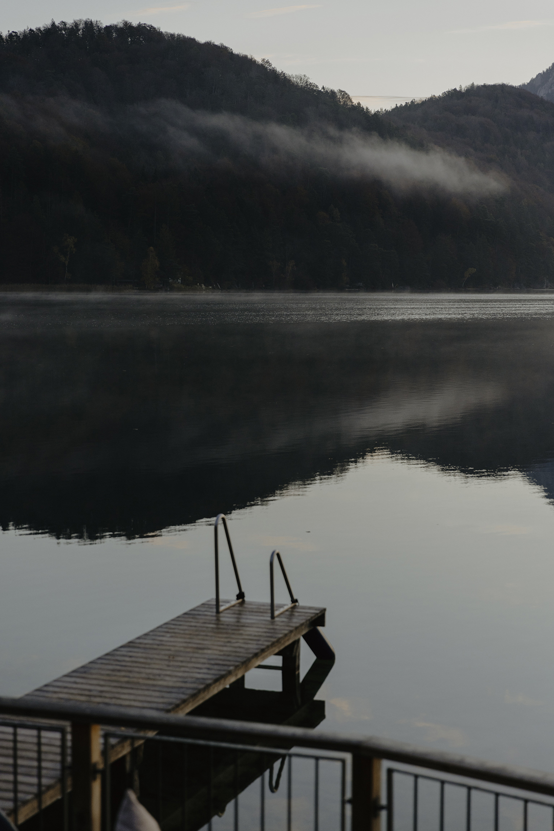 Amelie Niederbuchner