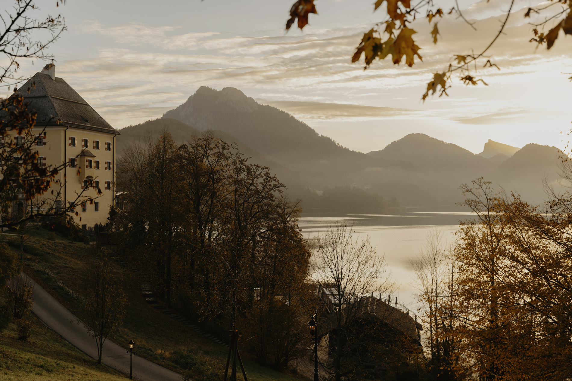 Amelie Niederbuchner