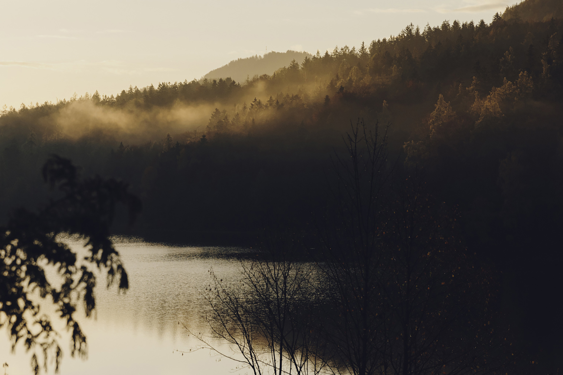 Amelie Niederbuchner