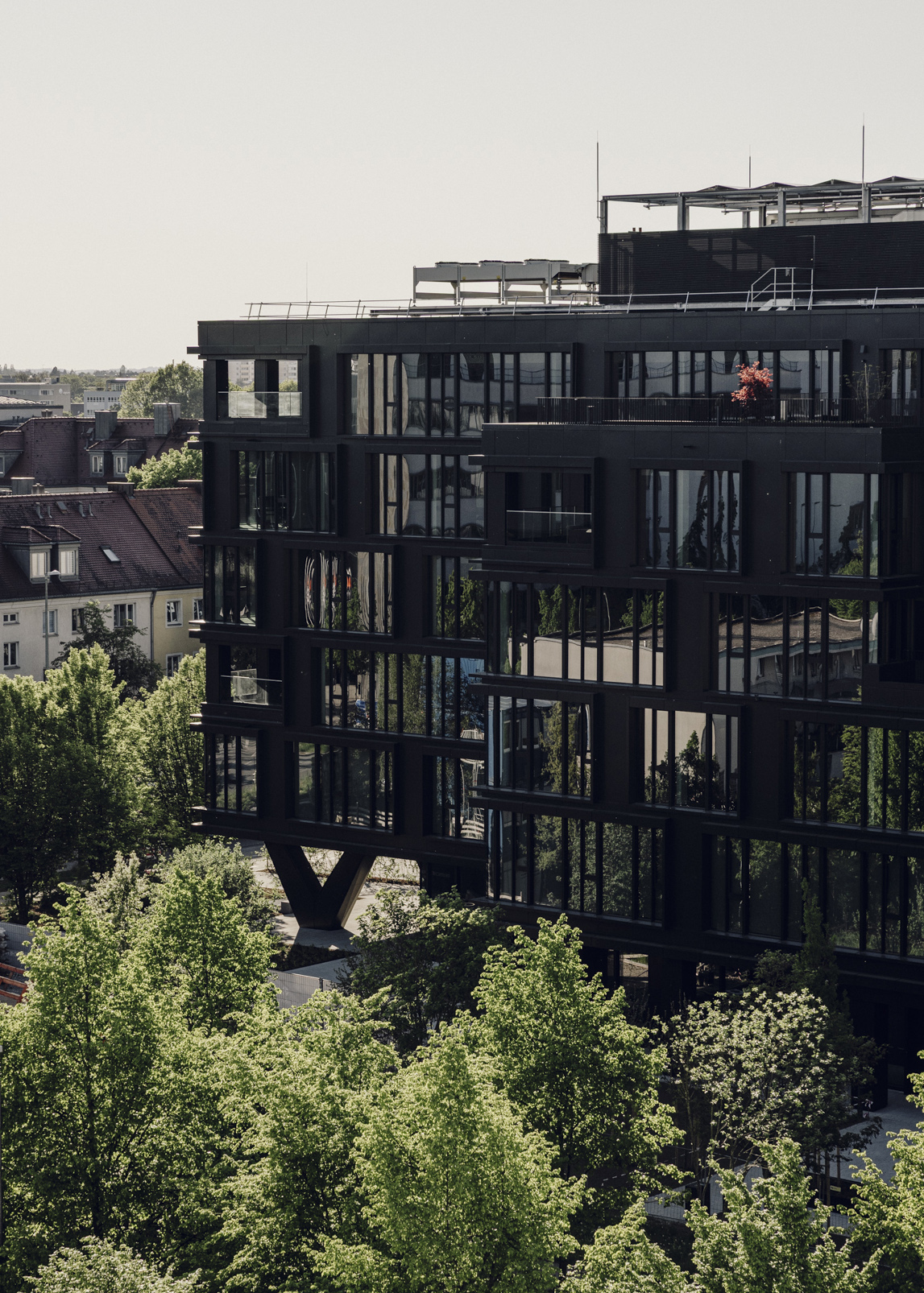 Amelie Niederbuchner