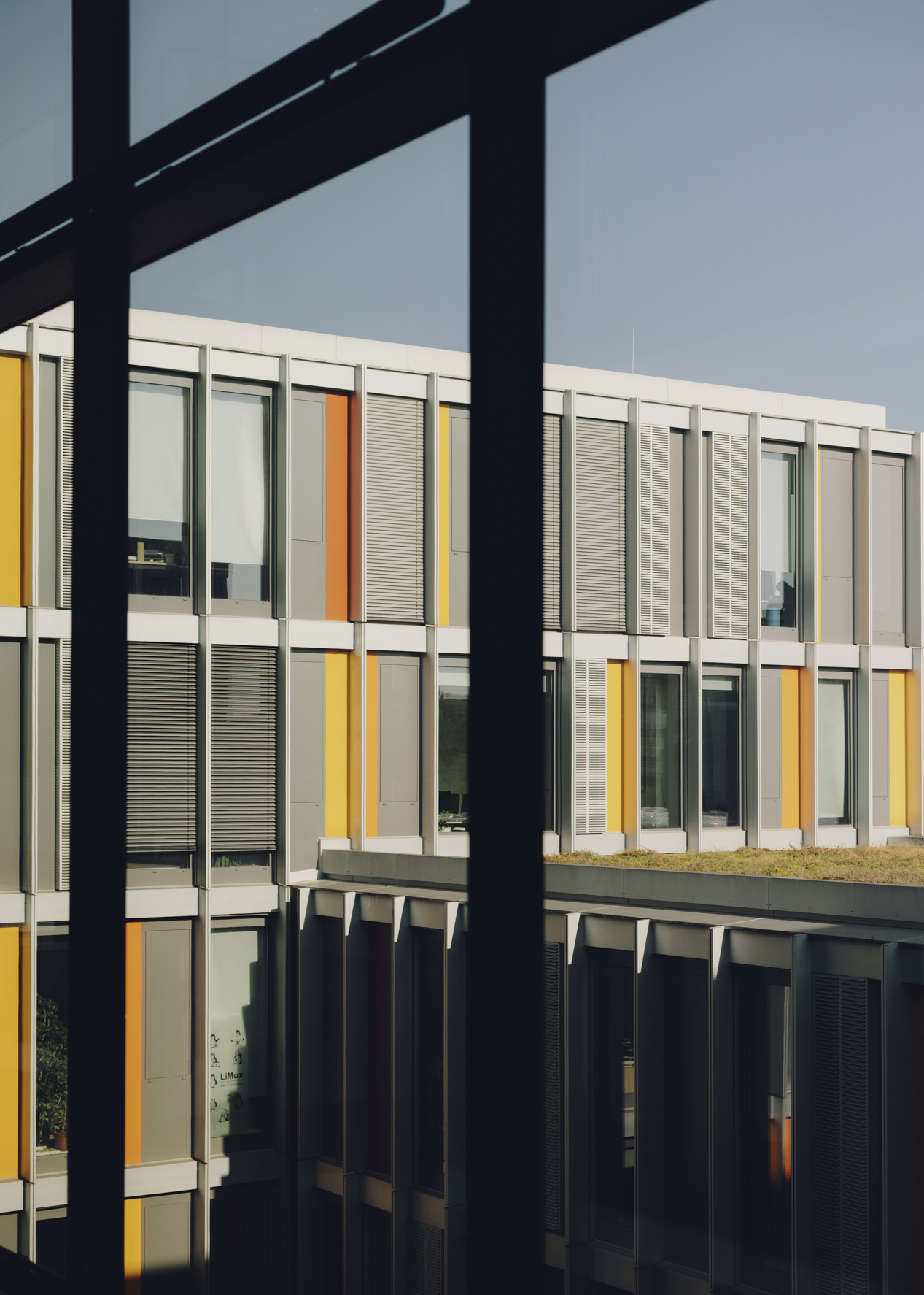 Amelie Niederbuchner