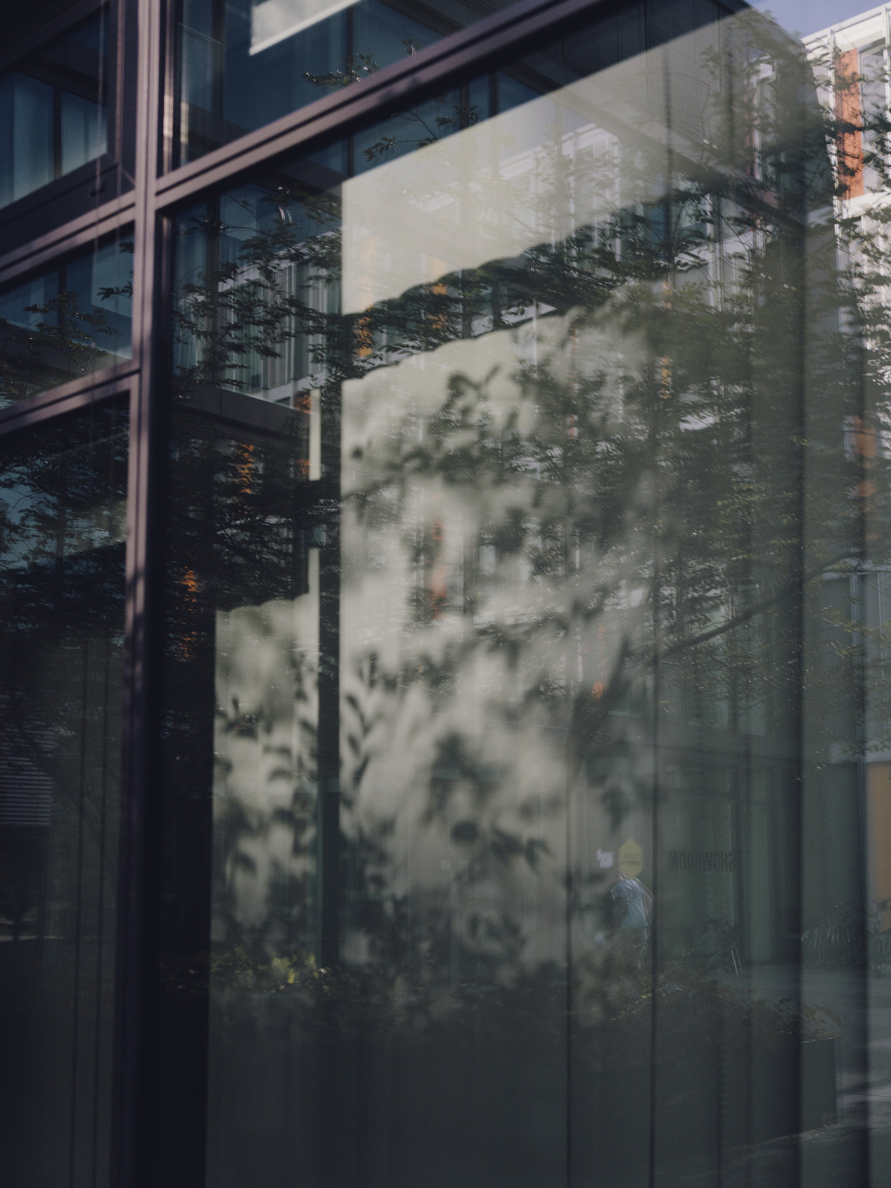 Amelie Niederbuchner