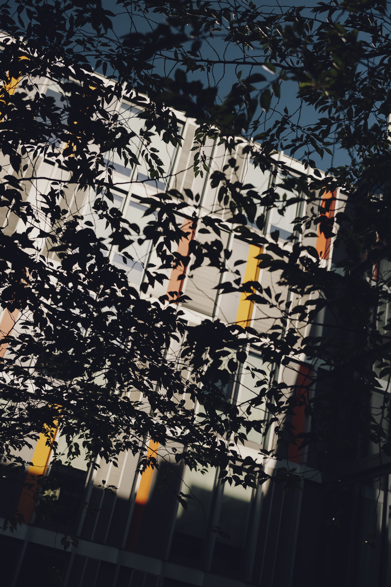 Amelie Niederbuchner