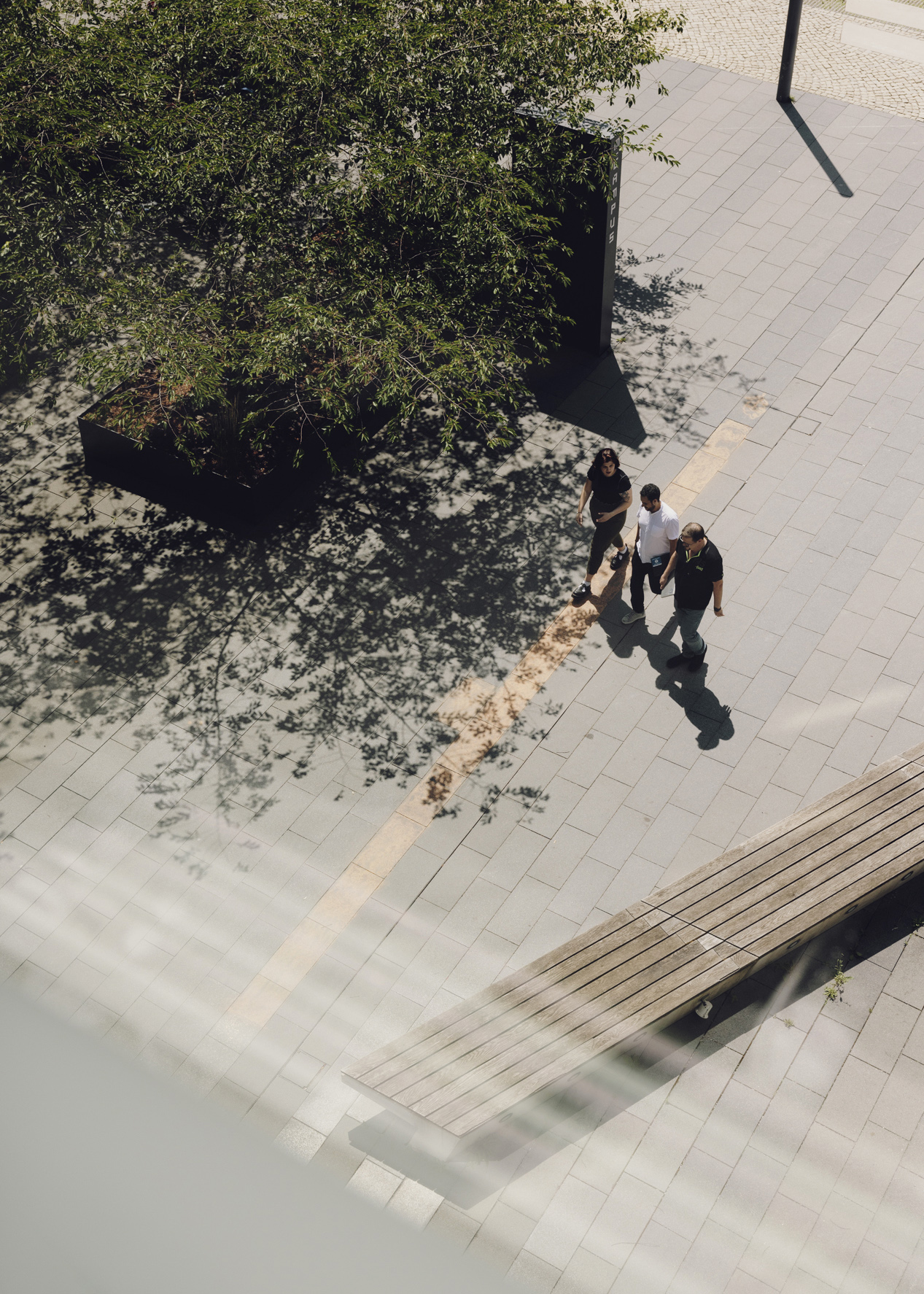 Amelie Niederbuchner