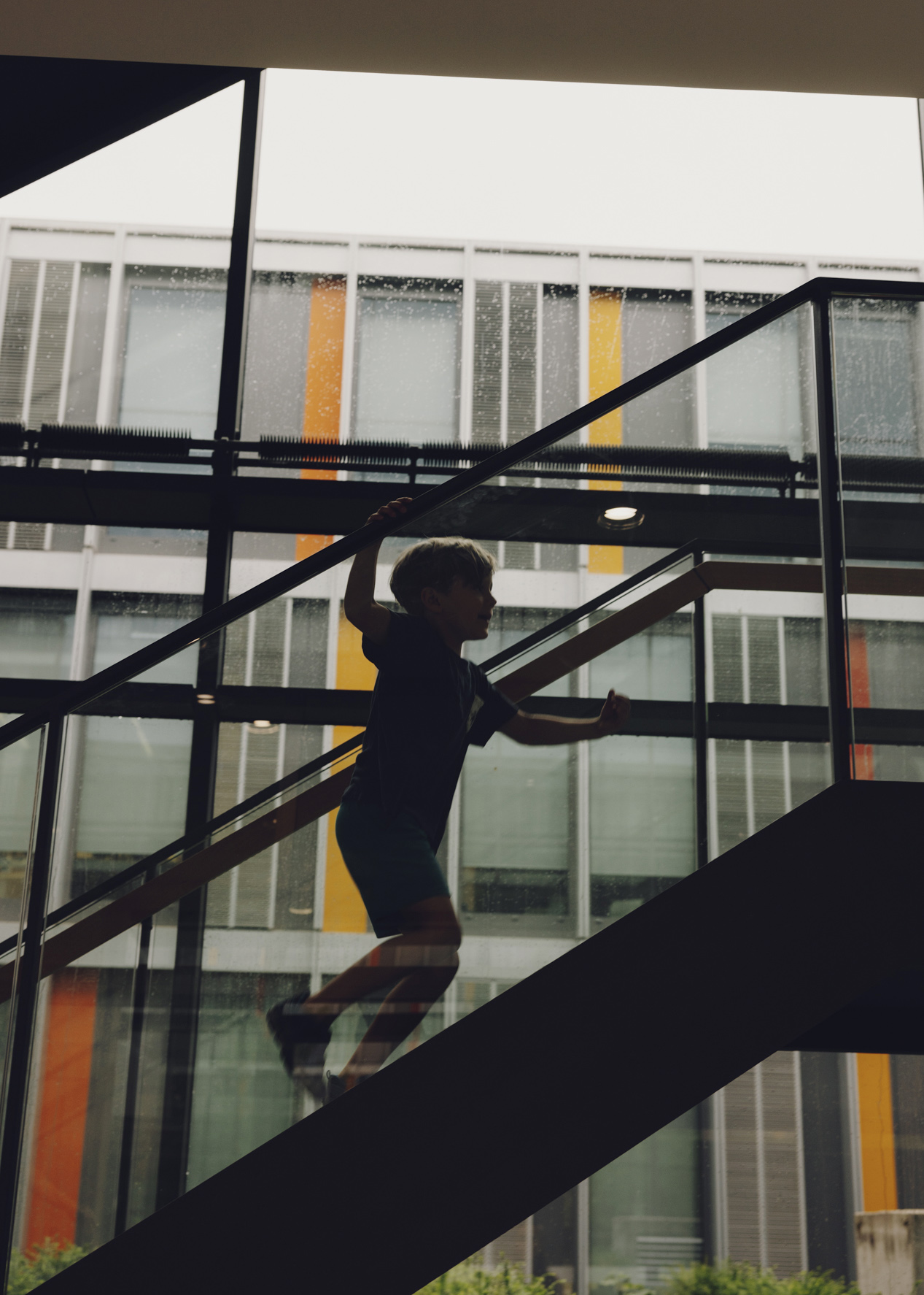 Amelie Niederbuchner